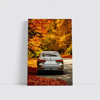 Lexus LS500h Silver Sedan Autumn Forest Road