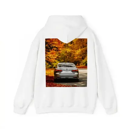 Lexus LS500h Silver Sedan Autumn Forest Road