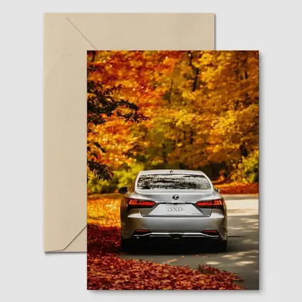 Lexus LS500h Silver Sedan Autumn Forest Road
