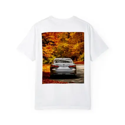 Lexus LS500h Silver Sedan Autumn Forest Road