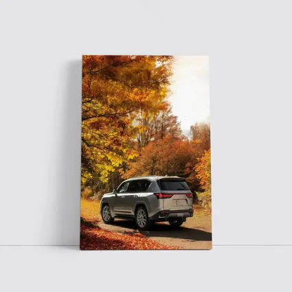 Lexus LS Luxury Sedan Autumn Forest Road