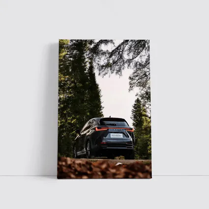 Lexus NX400h Rear View Forest Setting