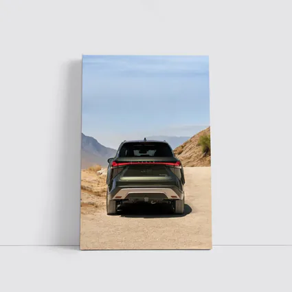 Lexus RX SUV Desert Mountain Road Rear