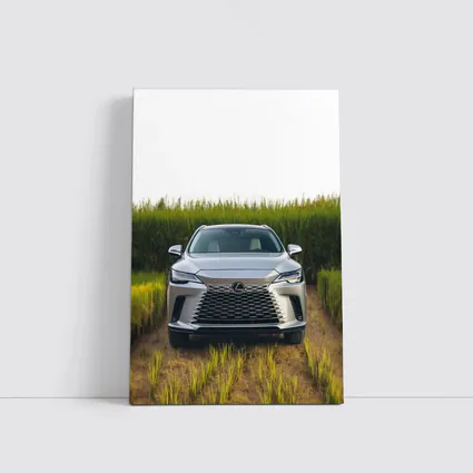 Lexus RX Silver SUV Green Field
