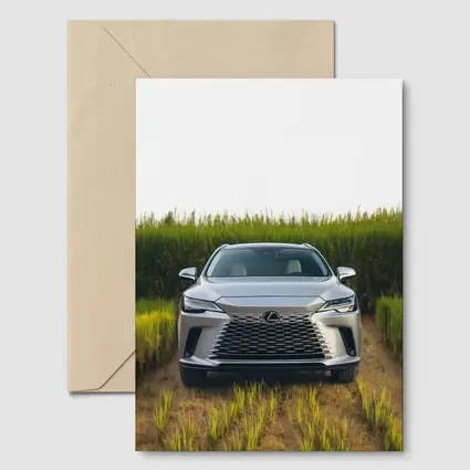Lexus RX Silver SUV Green Field