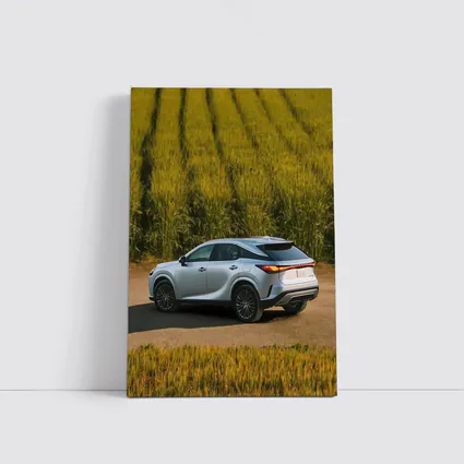 Lexus RX Hybrid Silver SUV Green Field