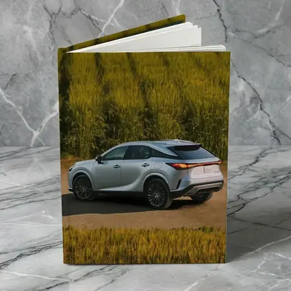 Lexus RX Hybrid Silver SUV Green Field