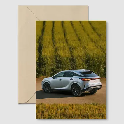 Lexus RX Hybrid Silver SUV Green Field