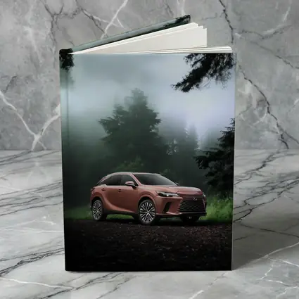Lexus RX Copper Tone Misty Forest