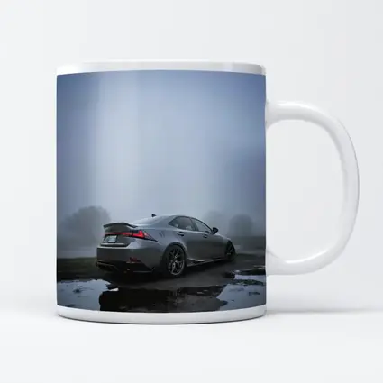 Lexus IS Sedan Foggy Moody Gray Day