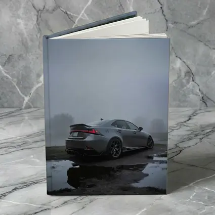 Lexus IS Sedan Foggy Moody Gray Day