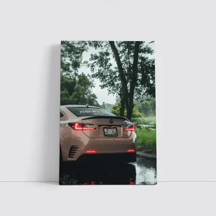 Lexus RC Rear View Rainy Forest