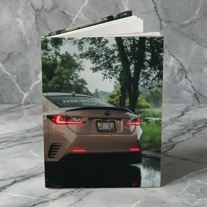 Lexus RC Rear View Rainy Forest