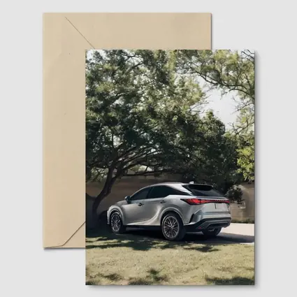 Lexus RX Silver SUV Parked Shaded Driveway