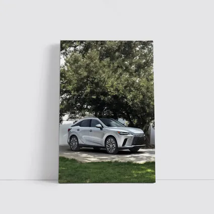 Lexus RX Silver SUV Parked Under Trees