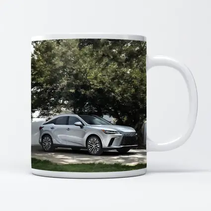 Lexus RX Silver SUV Parked Under Trees