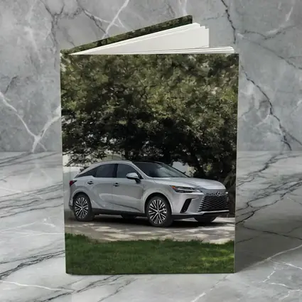 Lexus RX Silver SUV Parked Under Trees