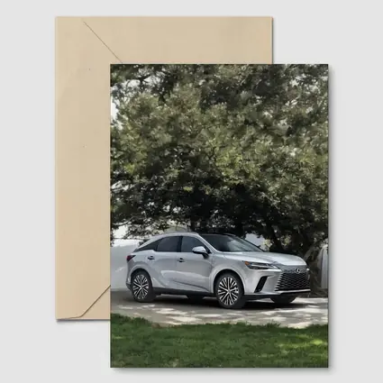 Lexus RX Silver SUV Parked Under Trees