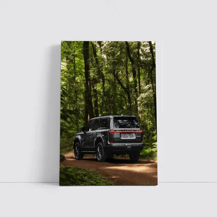 Lexus GX Black SUV Forest Trail
