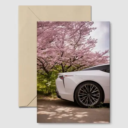 Lexus LC White Car Cherry Blossom Trees