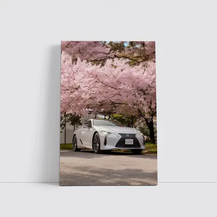 Lexus LC 500h Silver Under Cherry Blossoms