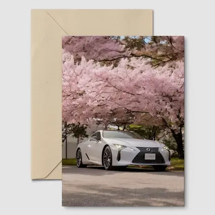 Lexus LC 500h Silver Under Cherry Blossoms
