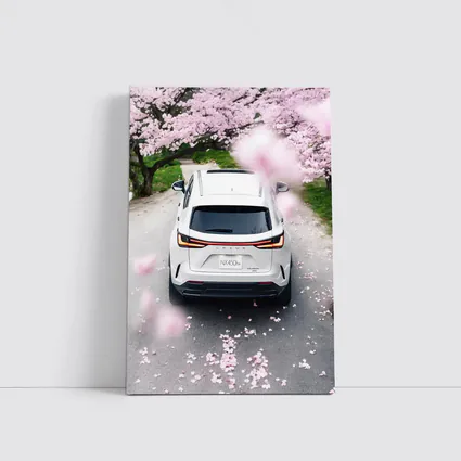Lexus NX White SUV Cherry Blossom Road