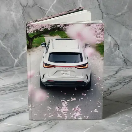 Lexus NX White SUV Cherry Blossom Road