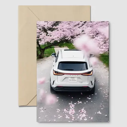 Lexus NX White SUV Cherry Blossom Road
