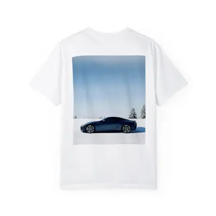 Lexus LC Coupe Blue Snow Winter Scene