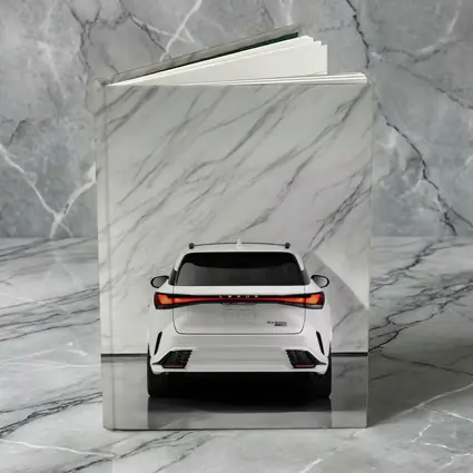 Lexus RX White SUV Marble Wall
