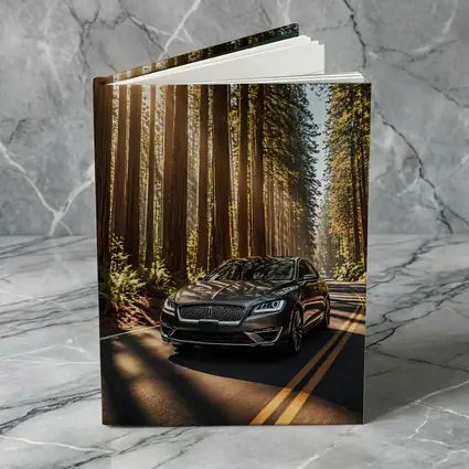 Lincoln MKZ Driving Through Redwood Forest Road