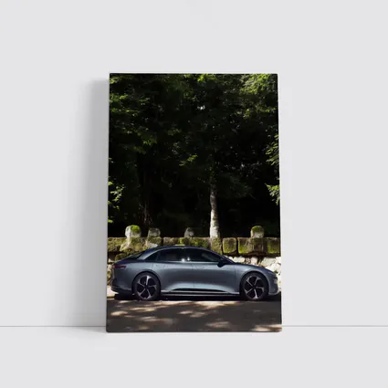 Lucid Air Pure Side Profile Forest Setting