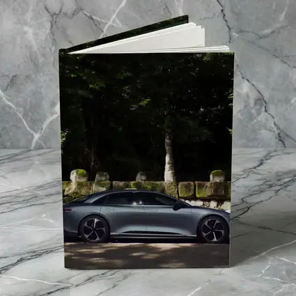 Lucid Air Pure Side Profile Forest Setting