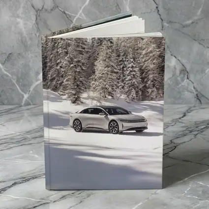 Lucid Air Sedan Snowy Winter Forest