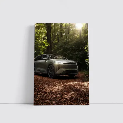 Lucid Gravity SUV Parked In Forest