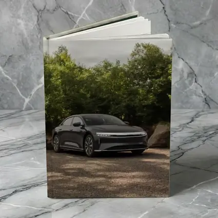Lucid Air Dark Sedan Parked Among Trees