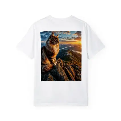 Maine Coon Cat Mountain Summit Sunset View