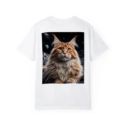 Maine Coon Cat Sitting On Moon Stars