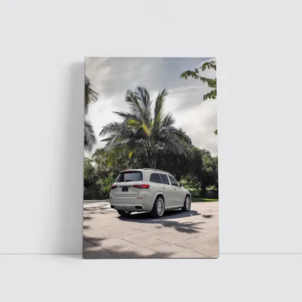 Mercedes Maybach GLS White Palm Trees Background
