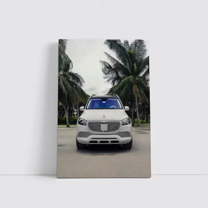 Mercedes Maybach GLS White Palm Trees Background