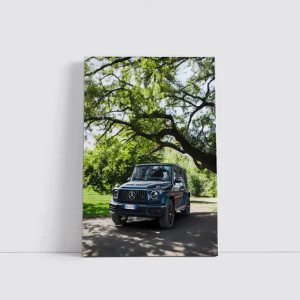 Mercedes AMG G Class Under Green Trees