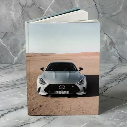 Mercedes AMG GT Silver Desert Front View