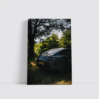 Mercedes AMG GT Matte Black Forest Setting