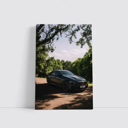 Mercedes AMG GT Dark Sedan Forest Road