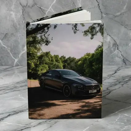 Mercedes AMG GT Dark Sedan Forest Road