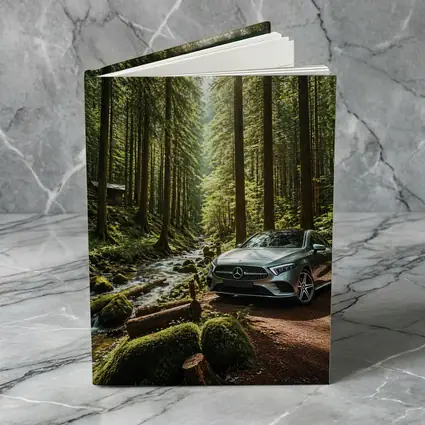 Mercedes A Class Silver Forest Stream Scene