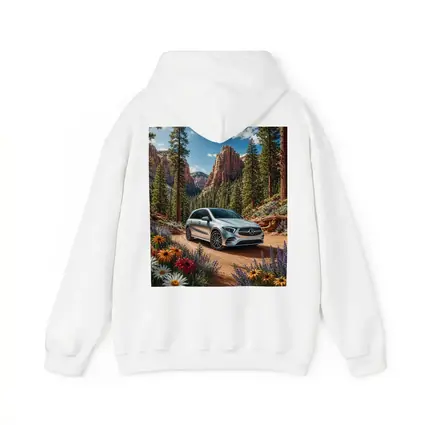Mercedes Benz B Class Canyon Forest Scene