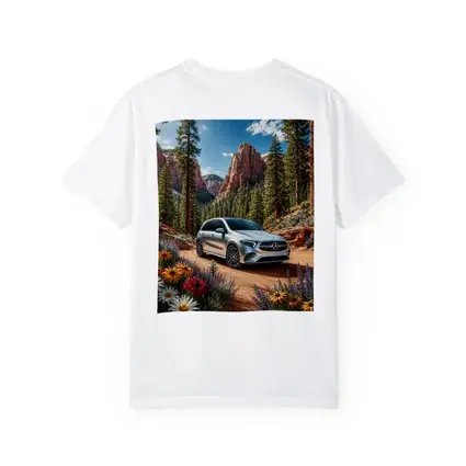 Mercedes Benz B Class Canyon Forest Scene