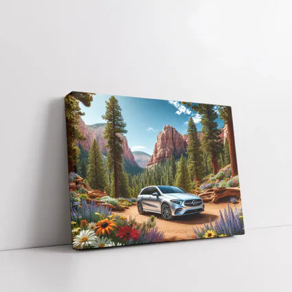 Mercedes Benz B Class Red Canyon Forest